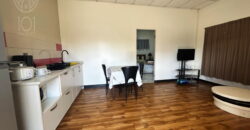 Anamesie | Modern furnished 1-room apartment