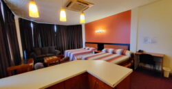 Stylishly furnished apartments – Perfect for professionals, expats and holidaymakers!