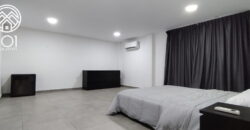 Willy | Apartment Complex